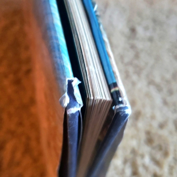 Cat Lover's Coffee Table Book Set of 3 Hardcover Vintage Books - Picture 11 of 17